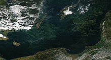 1824x990  (225.58 KB)