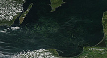 1350x732  (113.00 KB)