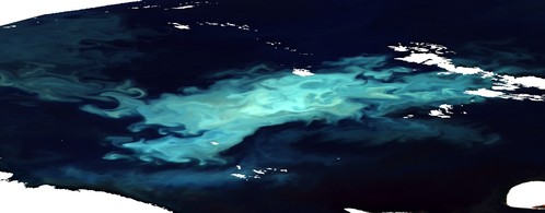 Barents Sea