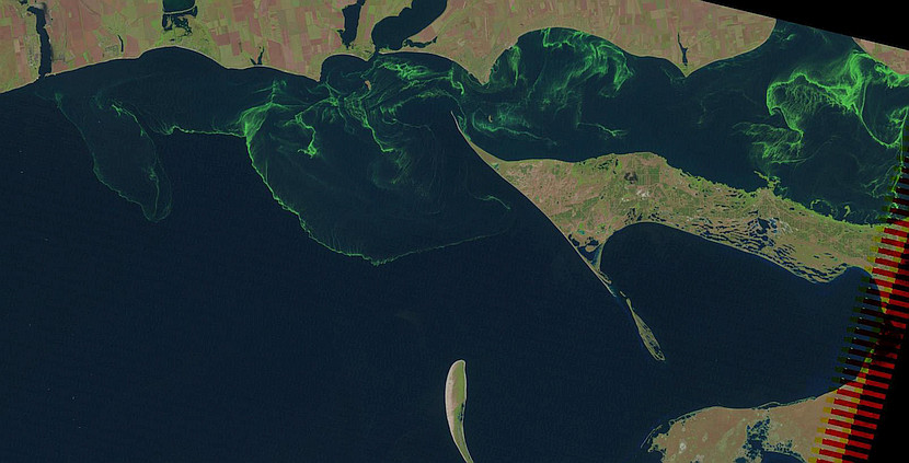 BlueGreen algae bloom manifestation in optical data of ETM+