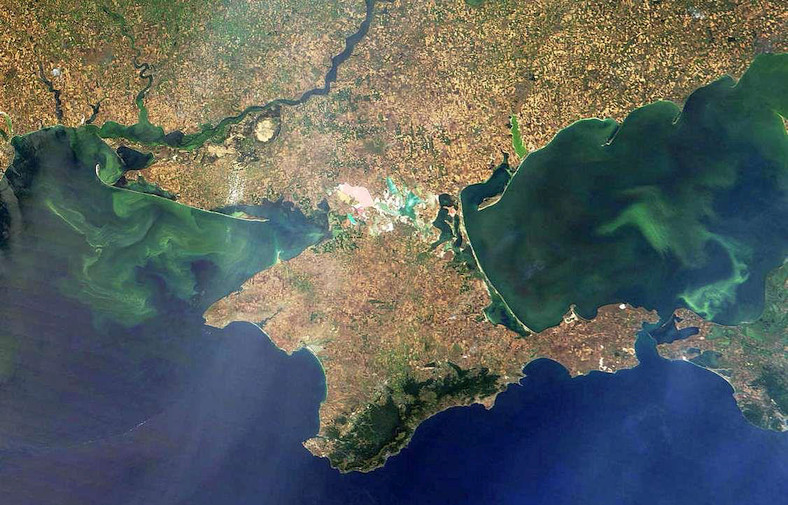 Jul 25 2009 Bluegreen algae bloom