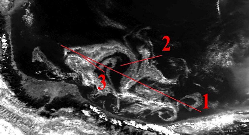 The position of the profiles passing through the anomaly of phytoplankton blooming