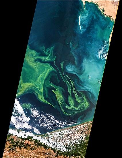 Landsat-7 image 02.09.2005